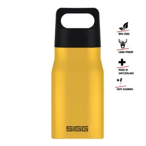 Bottiglia Sigg Explorer 550 ml SI EXP55