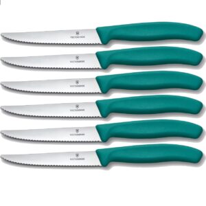 Set 6 coltelli bistecca Victorinox Swiss Classic manico verde V-6.7234.6C1