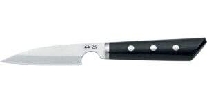 Coltello Spelucchino Due Cigni Pratiko1 10 cm 2C 3000